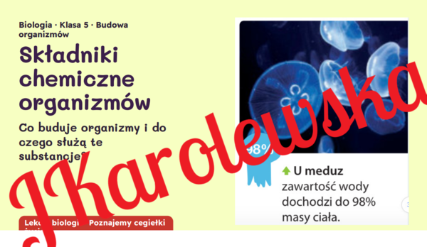 Chemiczne składniki organizmów