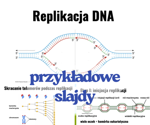 Replikacja DNA - prezentacja (poziom rozszerzony, matura)