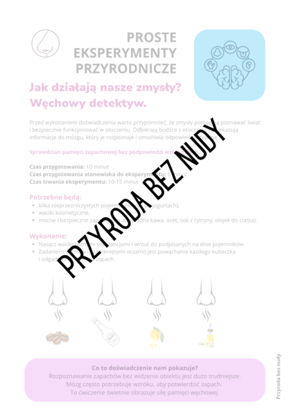 Jak działają nasze zmysły? Węch_EKSPERYMENTY PRZYRODNICZE - KLASA 4 SP