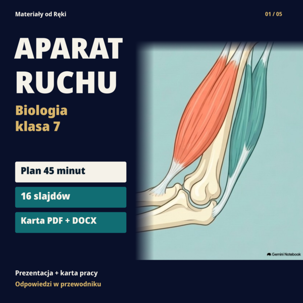 Jak działa aparat ruchu? Kości, stawy i mięśnie - biologia, klasa 7