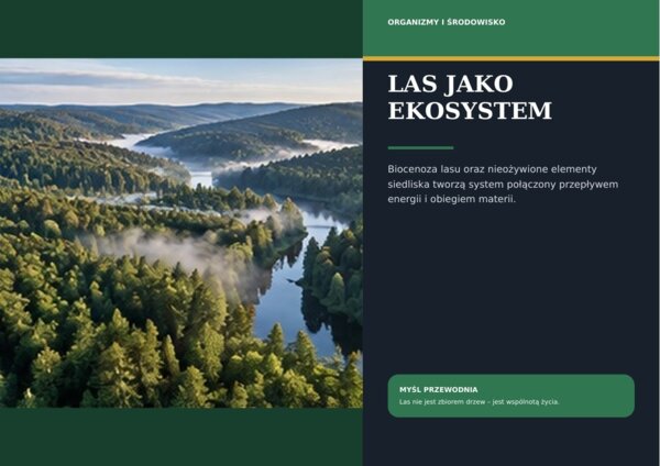 Las – żywy ekosystem | gazetka premium, klasy 5–8 i szkoła ponadpodstawowa, 18 plansz