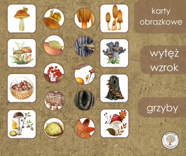 Gra - wytęż wzrok - grzyby