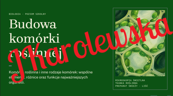 Budowa komórki roślinnej