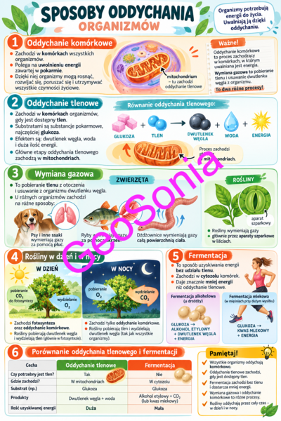 Sposoby oddychania organizmów biologia klasa 5 sketchnotka