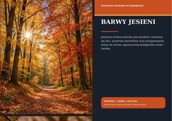 Barwy jesieni | gazetka premium, klasy 5–8 i szkoła ponadpodstawowa, 18 plansz