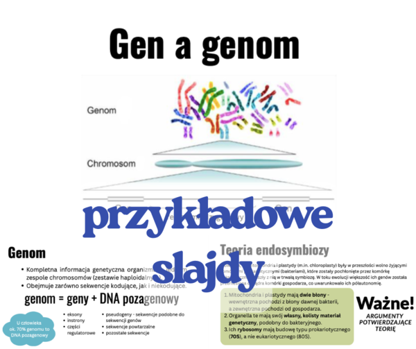 Geny i genomy. - prezentacja III /  IV klasa poziom rozszerzony biologia matura