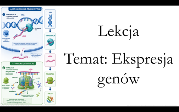 Klasa 3 ( podstawa) - Ekspresja genów - prezentacja
