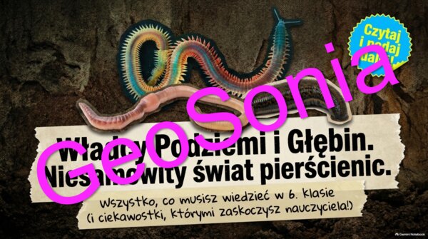 „Tajny Notatnik Pierścienic: Władcy Podziemi i Głębin” – Prezentacja Multimedialna (Biologia, Klasa 6)