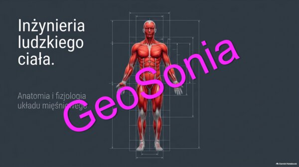 „Inżynieria Ludzkiego Ciała: Anatomia i fizjologia układu mięśniowego” – Multimedialna Prezentacja z Biologii (Klasa 7)