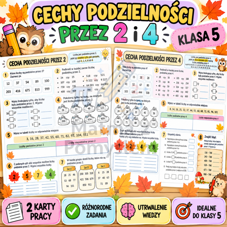 Cechy podzielności przez 2 i 4 – zestaw 2 kart pracy | Matematyka klasa 5