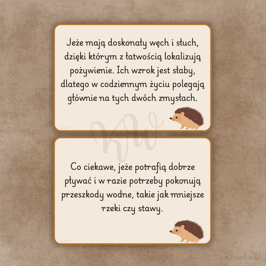 DZIEŃ JEŻA - ZESTAW