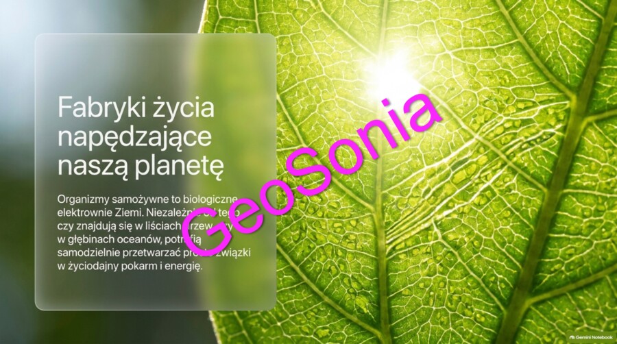 „Fabryki życia napędzające naszą planetę: Biologiczne Elektrownie Ziemi” – Multimedialna Prezentacja z Biologii (Klasy 5–7)