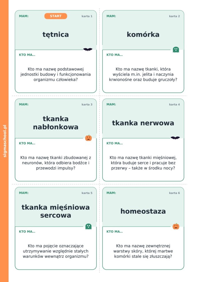 Halloween – Upiorny łańcuch – biologia, klasa 7