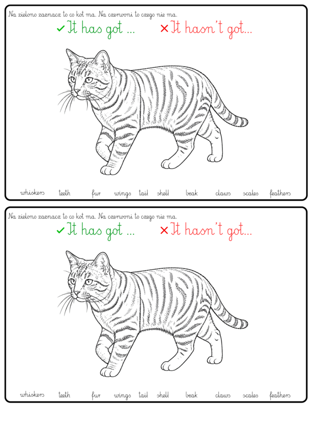 TIGER AND FRIENDS 3 U2