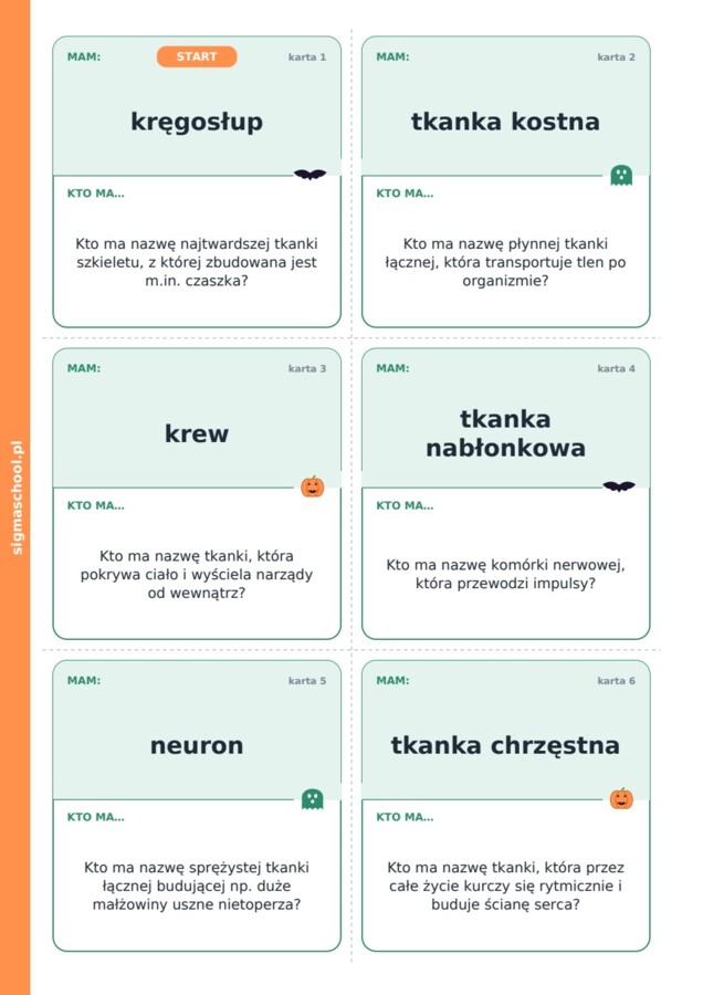 Halloween – Upiorny łańcuch – biologia, klasa 6