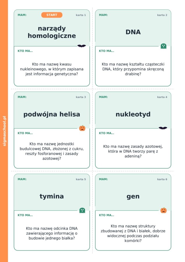 Halloween – Upiorny łańcuch – biologia, klasa 8