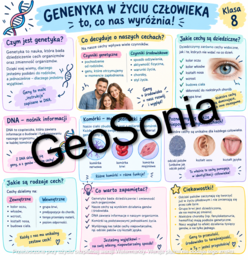 Czy jest genetyka? biologia klasa 8 sketchnotka