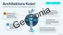 Budowa kości „Architektura Kości: Poznaj inżynieryjny cud ludzkiego organizmu” – Prezentacja Multimedialna (Biologia, Klasa 7)