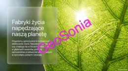 „Fabryki życia napędzające naszą planetę: Biologiczne Elektrownie Ziemi” – Multimedialna Prezentacja z Biologii (Klasy 5–7)