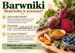 E NA ETYKIECIE — CO NAPRAWDĘ JEMY? - gazetka edukacyjna 28 plansz A4