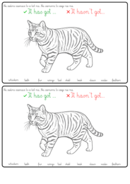 TIGER AND FRIENDS 3 U2