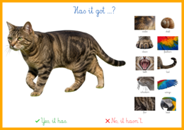 TIGER AND FRIENDS 3 U2