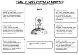Mały Książę - karta pracy