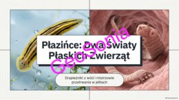 „Płazińce: Dwa Światy Płaskich Zwierząt – Drapieżniki z wód i mistrzowie przetrwania w jelitach” – Prezentacja Multimedialna (Biologia, Klasa 6)