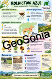 Rolnictwo Azji geografia klasa 8 sketchnotka