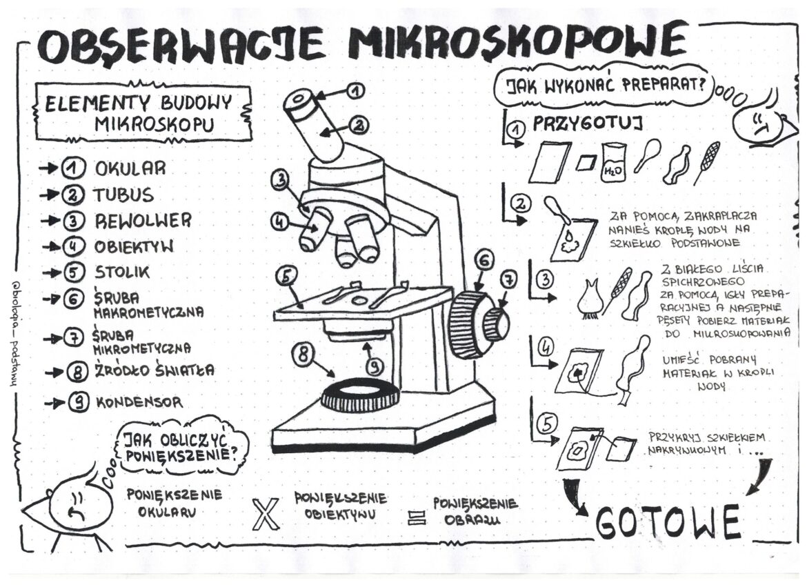 obserwacje-mikroskopowe-klasa-5-sketchnotka-kp-z-oty-nauczyciel