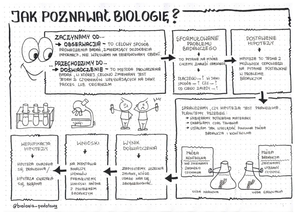 Jak Poznawać Biologię Klasa 5 Jak poznawać biologię - klasa 5 sketchnotka • Złoty nauczyciel