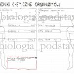 Klasa 5 – Składniki chemiczne organizmów – sketchnotka