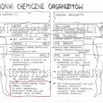 Klasa 5 – Składniki chemiczne organizmów – scenariusz lekcji