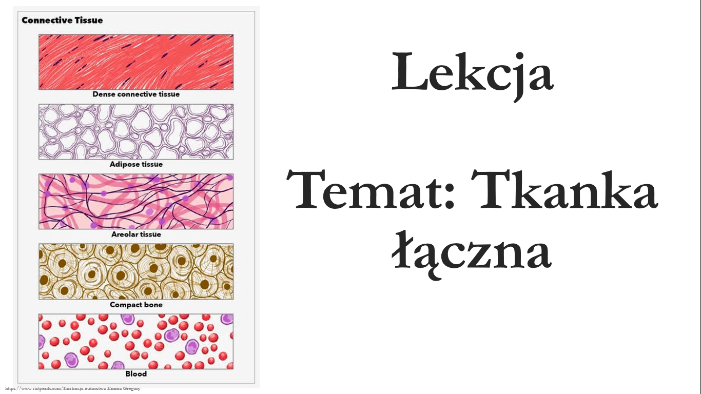 Klasa 6 Tkanka łączna Prezentacja • Złoty Nauczyciel 2027