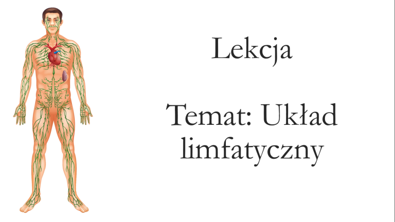 Klasa 7 - Układ Limfatyczny - Prezentacja • Złoty Nauczyciel