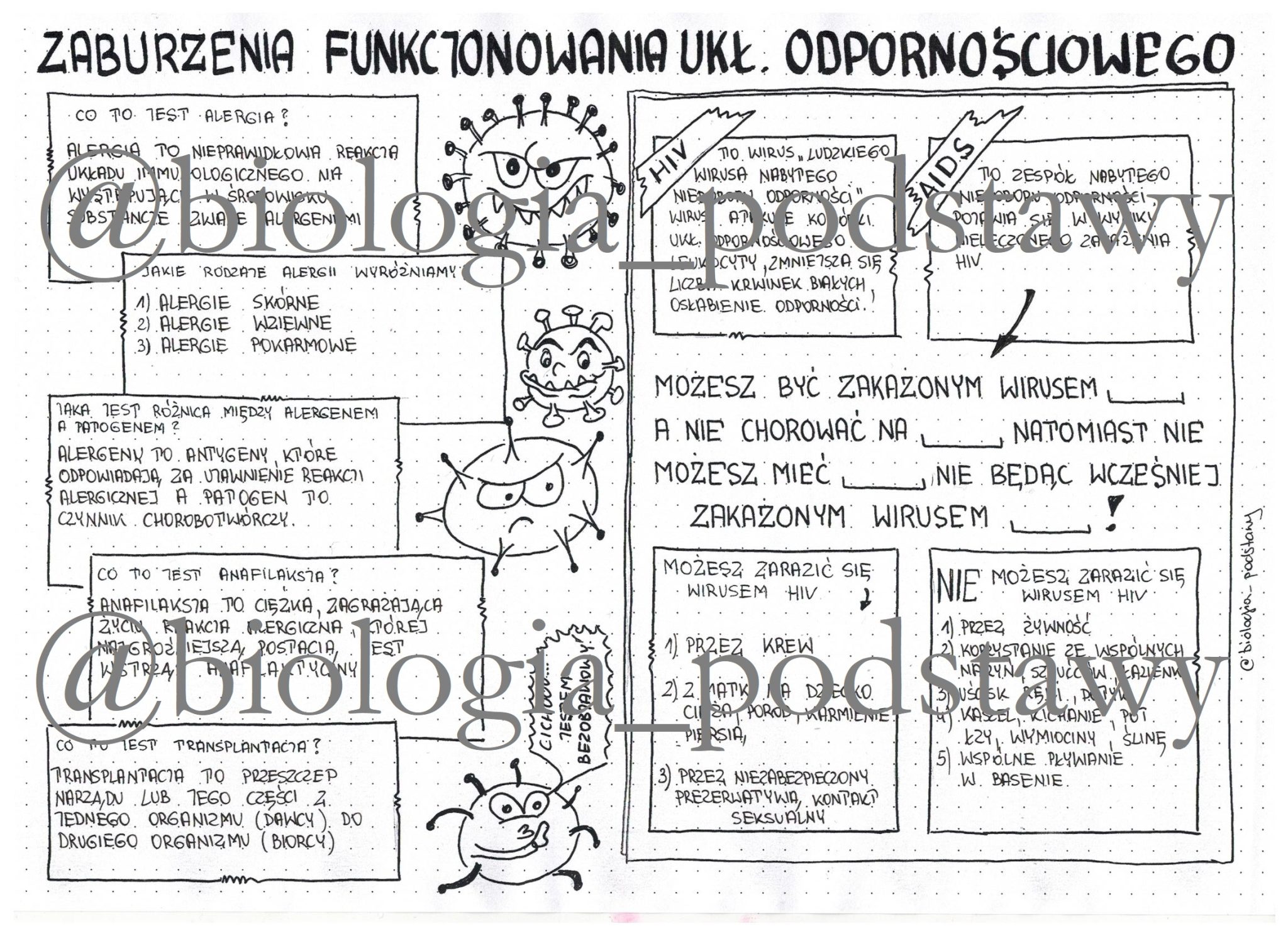 Klasa 7 Zaburzenia Funkcjonowania Układu Odpornościowego Sketchnotka • Złoty Nauczyciel 8513