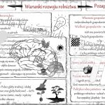 Sketchnotki – powernotki w powerpoint – geografia 7 – dział „Rolnictwo i przemysł”