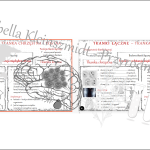 Sketchnotka i karta pracy „Tkanka nerwowa”. Biologia 6 – dział I – wykonana w power point – tutaj w pdf