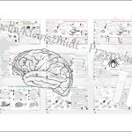 Sketchnotka i karta pracy „Cechy stawonogów”. Biologia 6 – dział III – wykonana w power point – tutaj w pdf