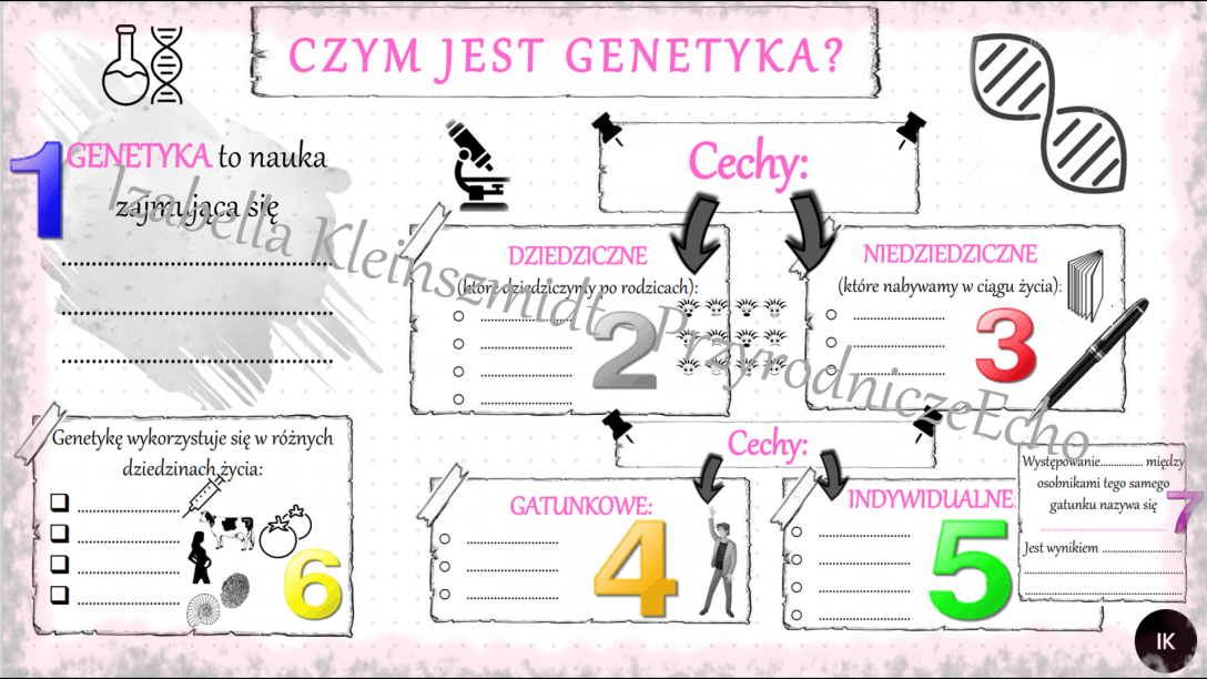 Karta Pracy Do Lekcji Multimedialnej „Czym Jest Genetyka?” Biologia SP ...