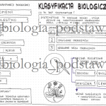 Klasa 5 – Klasyfikacja biologiczna – KP