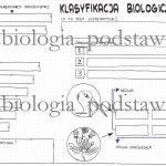 Klasa 5 – Klasyfikacja biologiczna – sketchnotka