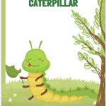 The VERY hungry caterpillar worksheets/karty pracy