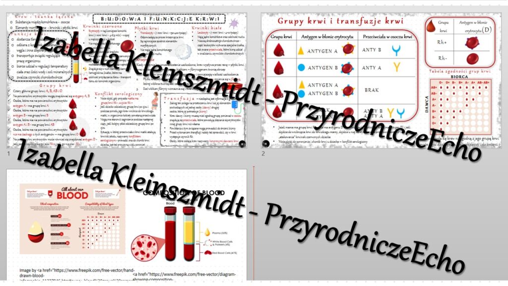 Sketchnotka Notatka „budowa I Funkcje Krwi” Wykonana W Power Point Do Edycji Biologia 7 7350