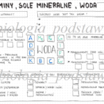 Klasa 7 -Witaminy sole mineralne woda – sketchnotka