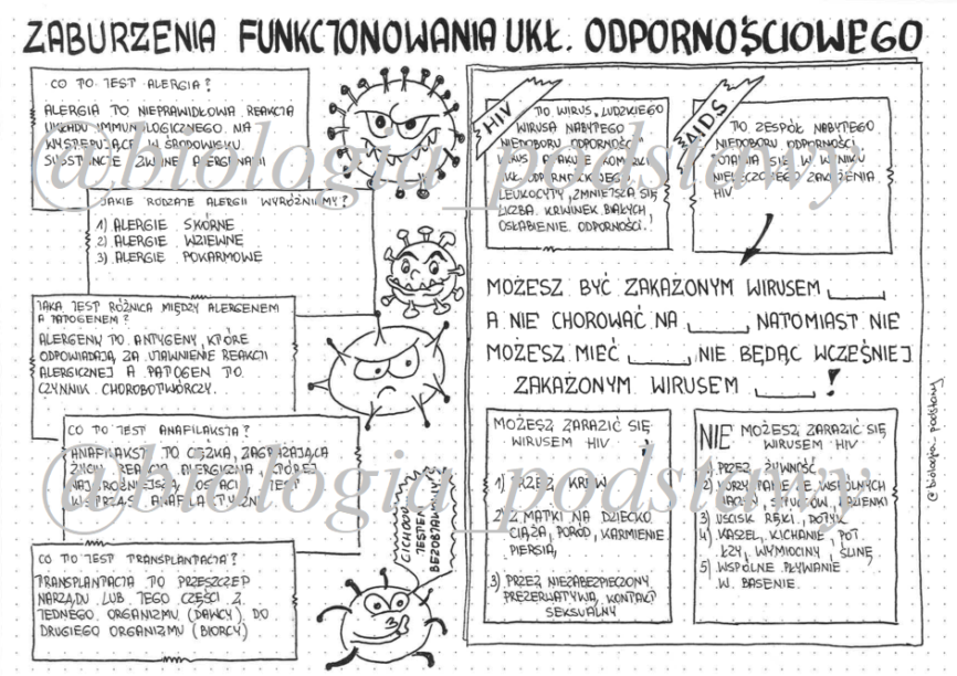 Klasa 7 Zaburzenie Funkcjonowania Układu Odpornościowego Sketchnotka • Złoty Nauczyciel 0826