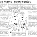 Klasa 7 – Budowa układu hormonalnego KP – sketchnotka