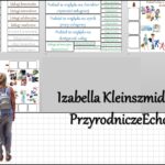 Notatka okienkowa „Rodzaje usług”, „Rodzaje usług. Łączność i transport” w pdf. Geografia 7 dział „Usługi w Polsce”.