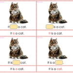 Karty 'It is’ vs 'They are’: multiple choice (Pets vocab)