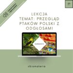 PROBLEM PROBLEMOWI NIERÓWNY – sygnalizacja świetlna – zajęcia TUS, rewalidacja, godziny wychowawcze